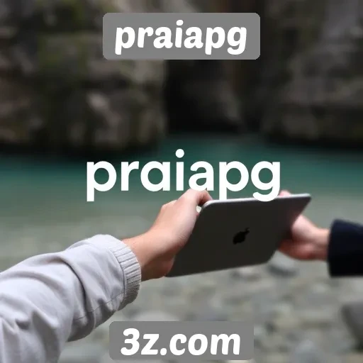 Recursos exclusivos do site de praiapg analisados